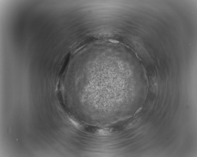 X0000073980232200609051919