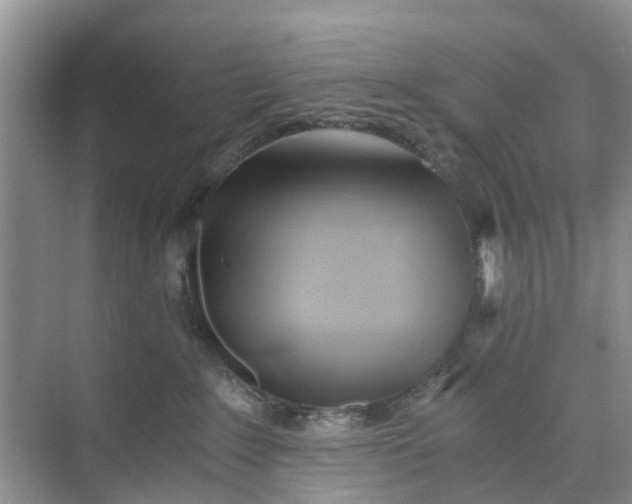 X0000073980235200609051919