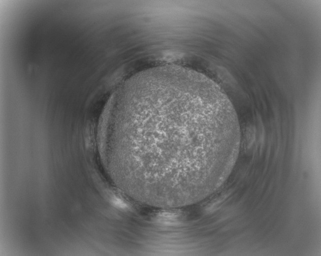 X0000073980236200609051919