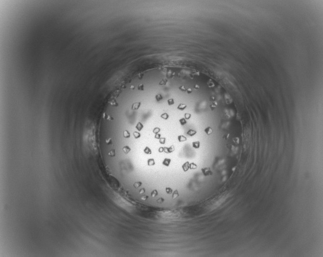 X0000073980238200609051919