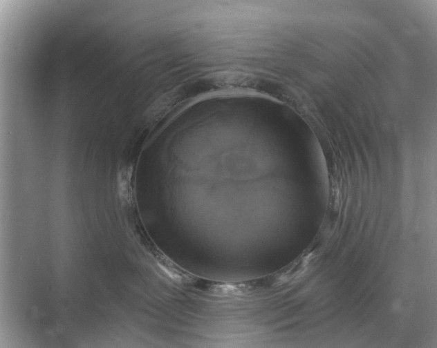 X0000073980239200609051919