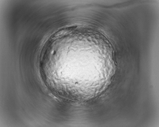 X0000073980241200609051918