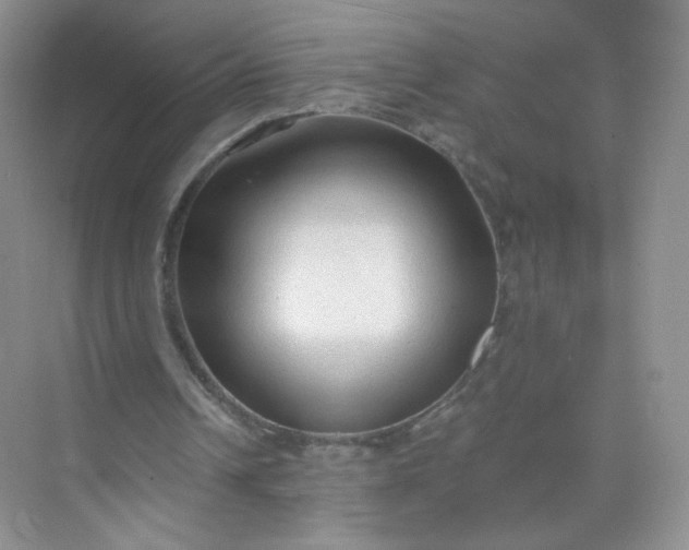 X0000073980242200609051918