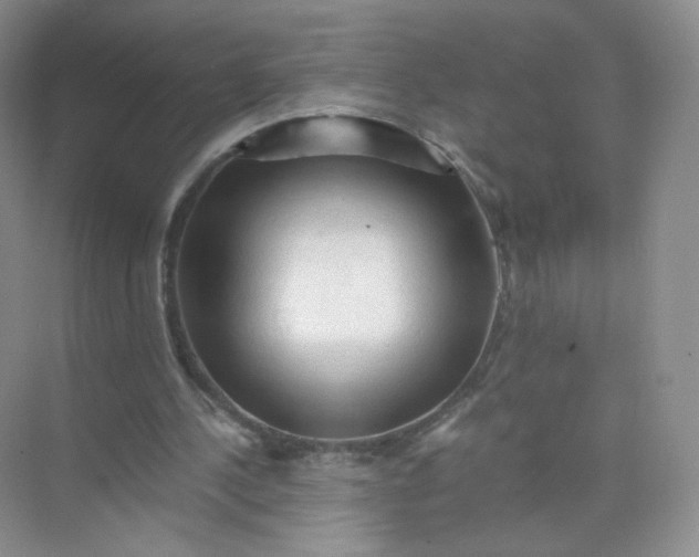 X0000073980244200609051918