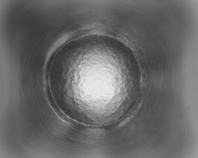 X0000073980245200609051918