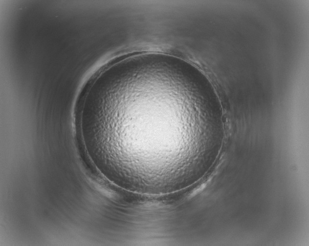 X0000073980246200609051918