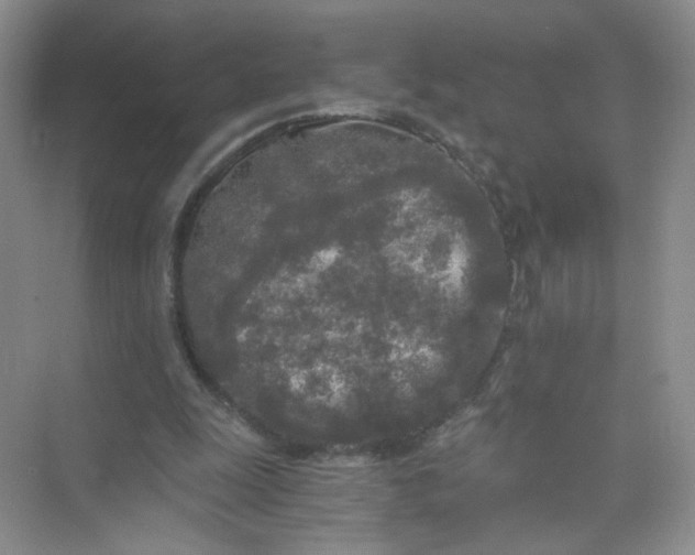 X0000073980247200609051918