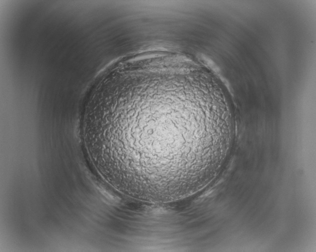 X0000073980249200609051918