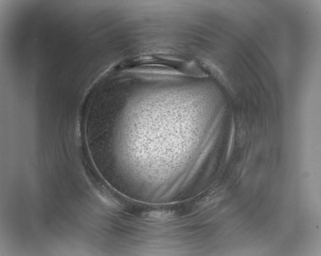 X0000073980251200609051918