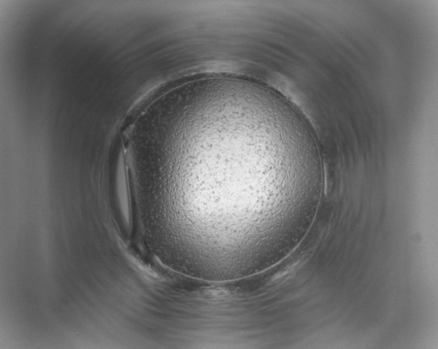 X0000073980253200609051918