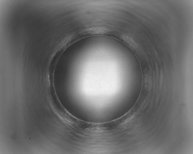 X0000073980254200609051918