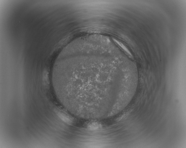 X0000073980258200609051918