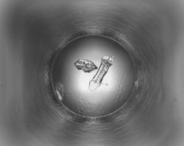 X0000073980259200609051918