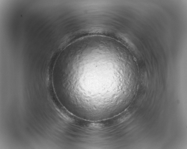 X0000073980261200609051919