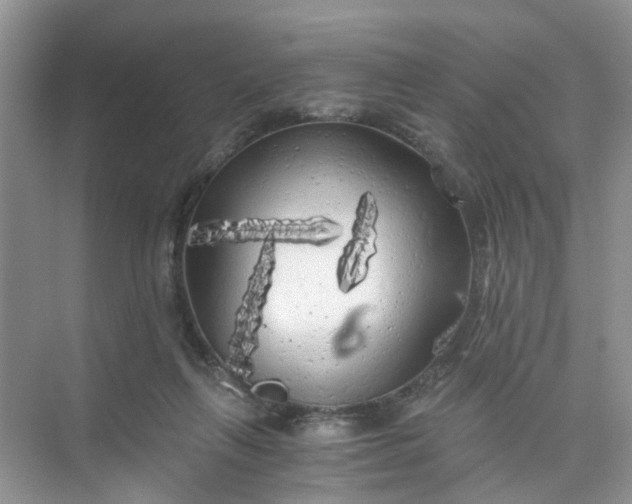 X0000073980263200609051919