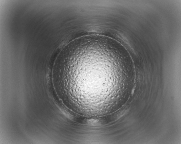 X0000073980265200609051919