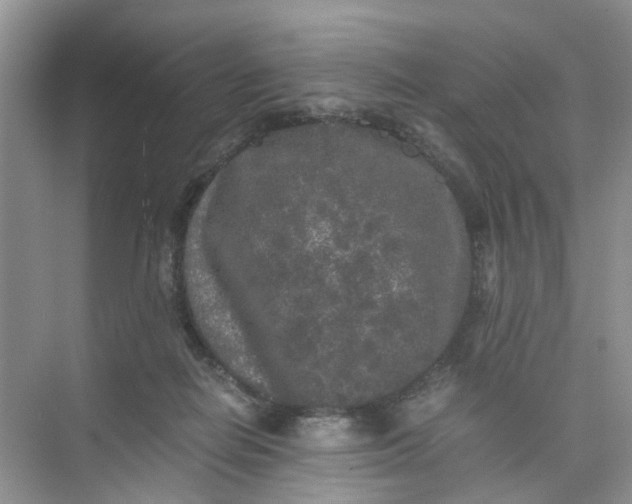 X0000073980266200609051919