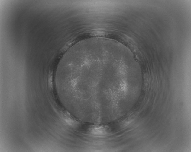 X0000073980267200609051919