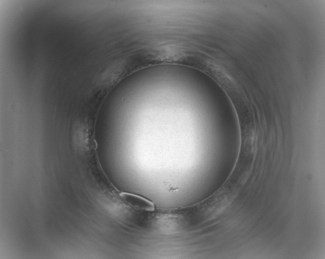 X0000073980268200609051919