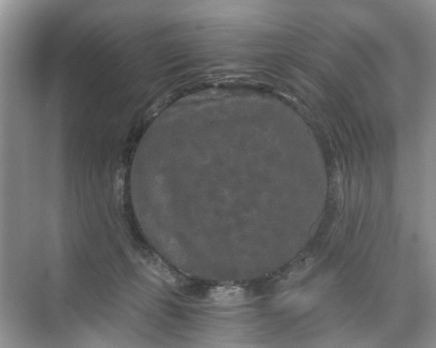 X0000073980271200609051919