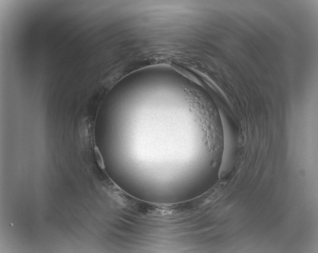 X0000073980276200609051919