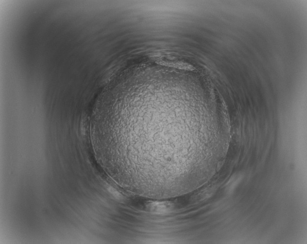 X0000073980277200609051919