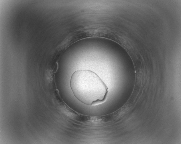 X0000073980278200609051919