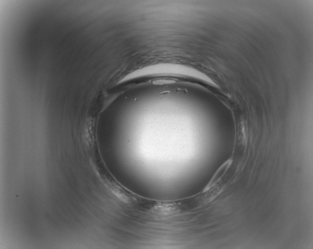 X0000073980280200609051919