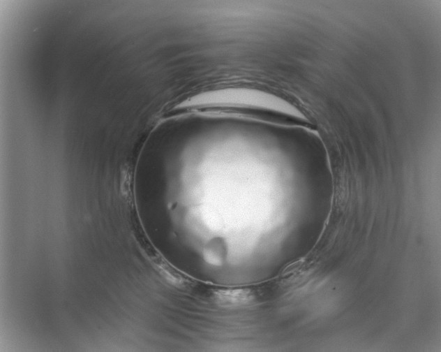 X0000073980281200609051919