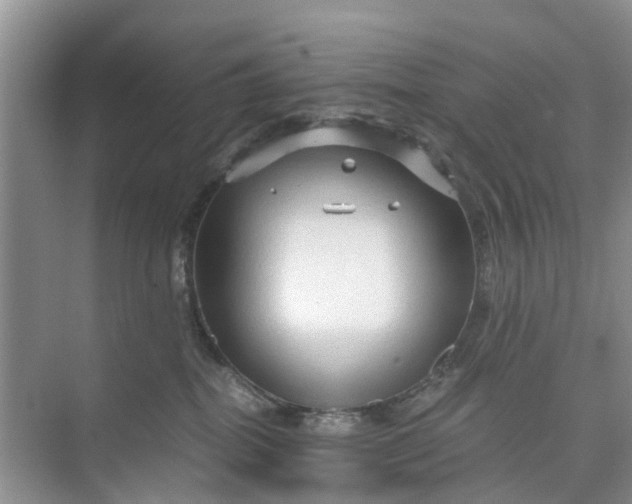 X0000073980282200609051919