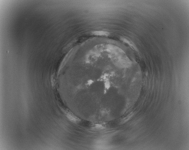 X0000073980285200609051919