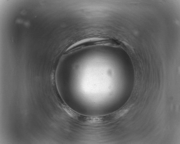 X0000073980288200609051919