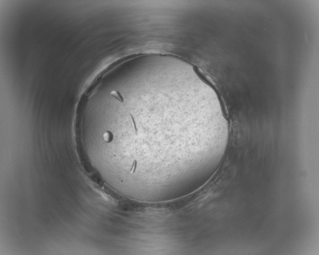 X0000073980292200609051918