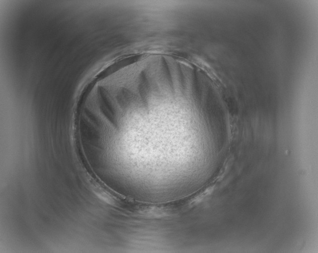 X0000073980293200609051918