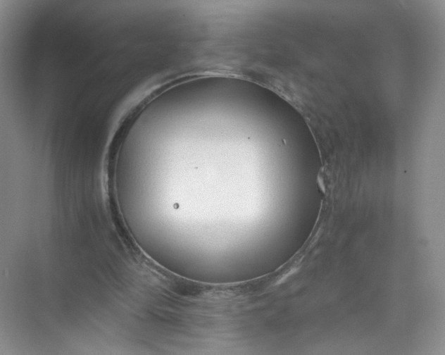 X0000073980294200609051918