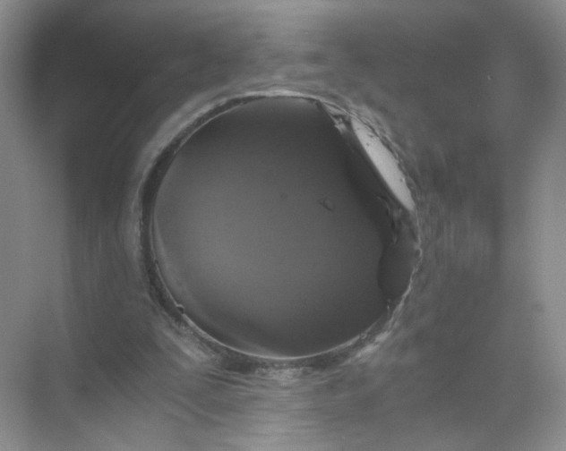 X0000073980295200609051918