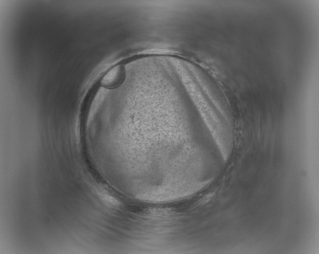 X0000073980296200609051918