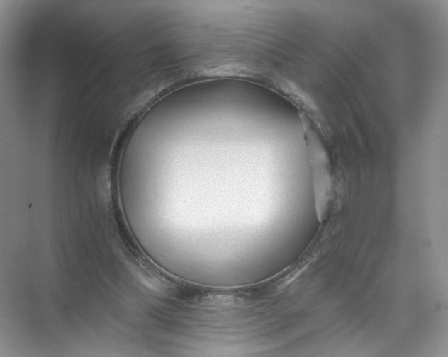 X0000073980298200609051918