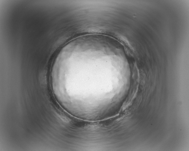 X0000073980299200609051918