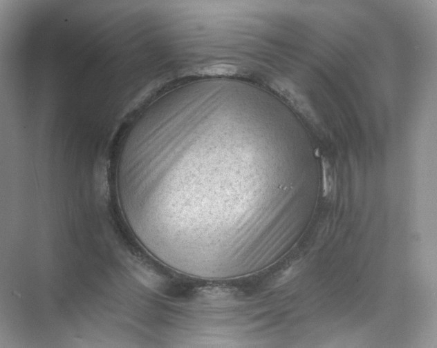 X0000073980300200609051918