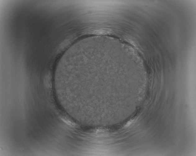 X0000073980303200609051918