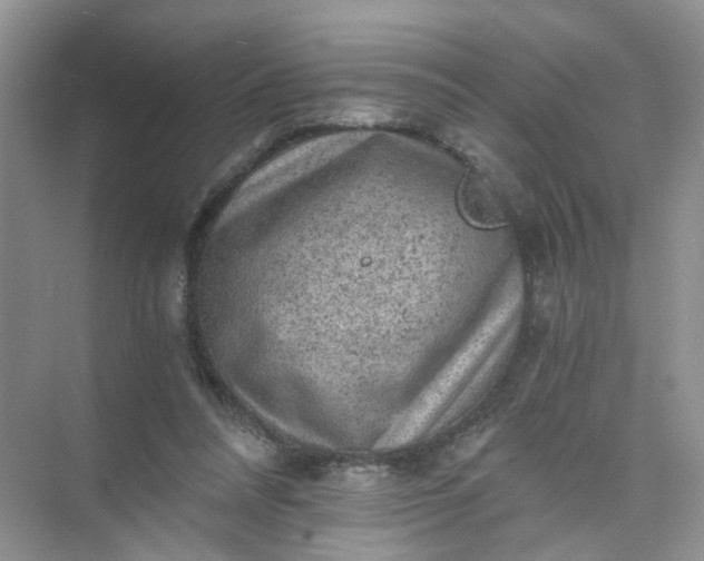 X0000073980304200609051918