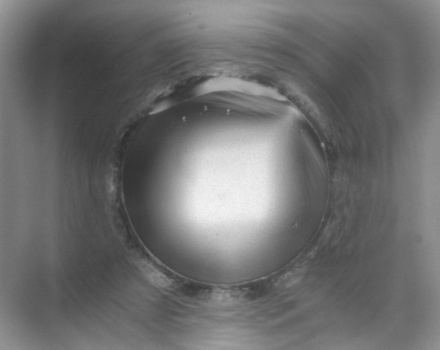 X0000073980305200609051918