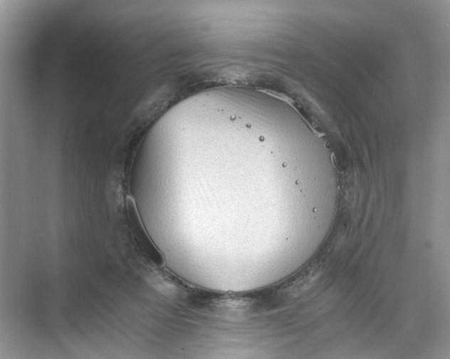 X0000073980313200609051918