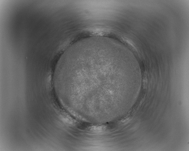 X0000073980314200609051918