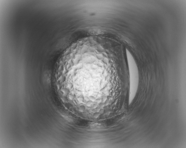 X0000073980315200609051918