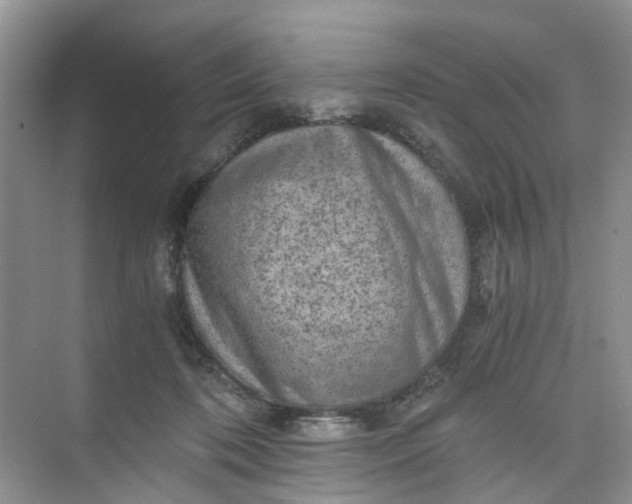 X0000073980316200609051918