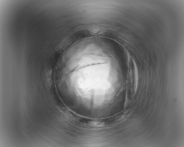 X0000073980319200609051918