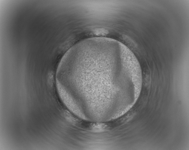 X0000073980321200609051918