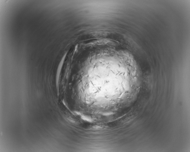 X0000073980323200609051918